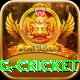 1st inning betting cricket Elite v1.3.8