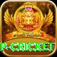 2022 world cup cricket Master Pro v3.4.4