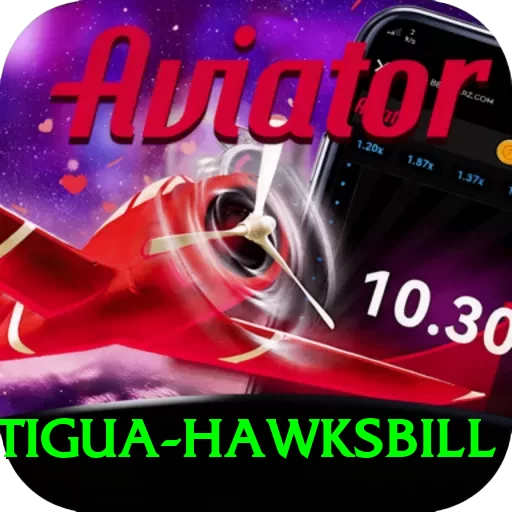 antigua hawksbill VIP - 2