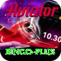 bingo Max v2.4.3