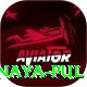 birethanti naya pul VIP Pro v5.3.9
