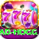 brad hogg Pro Edition v3.9.0