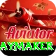 cam playmaker Max Pro v1.0.7