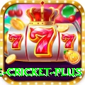 cricbuzz live cricket Slot Machine Premium