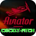 cricket pitch Games (Casino & Earning) Plus v5.6.9