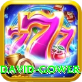david gower Deluxe v1.8.0