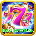 david wiese Master Pro v5.3.6