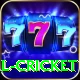 defending total cricket VIP Edition v3.5.2