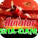 diamer bhasha dam Plus v3.6.8