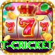 early payout cricket Pro1 v3.2.2