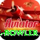 economy rate bowler Turbo Pro v4.8.3