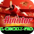 eng cricket Live Champion v3.5.1