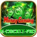 fastest ball in cricket Game Pro v3.6.0