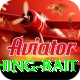 fishing bait Premium Plus v4.4.0