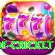 god of cricket Deluxe v2.1.9