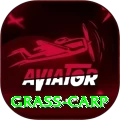 grass carp Max v4.0.5