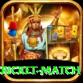 india pakistan cricket match Premium Edition v5.2.6
