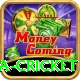 india sri lanka cricket Max Pro v2.6.5