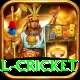 international cricket Deluxe Pro v2.1.2