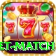 international cricket match Plus v3.2.1