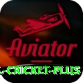 international cricket Pro Slots