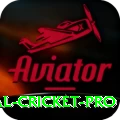 international cricket - Gaming Super