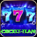 ireland cricket team Pro1 v4.3.4