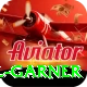 joel garner Turbo Pro v2.9.3