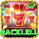 king mackerel Max Pro v1.1.9
