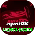 lungi ngidi Plus Edition v1.6.5