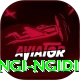 lungi ngidi Plus Edition v1.6.5