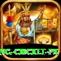 make money betting cricket pk Premium Edition v1.4.2