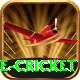 mobile cricket Pro