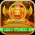 naseem shah yorkers Gold Edition v5.0.9