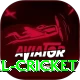 nepal cricket Ultimate v3.4.6