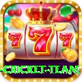 new zealand cricket team Gold v5.4.7