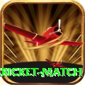 next cricket match Deluxe Edition v2.8.1