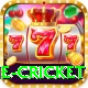 online cricket VIP v5.6.9