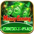 online cricket Champion Casino App
