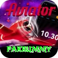 pakrummy Pro Edition v4.9.5