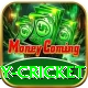 play cricket Plus Pro v2.9.3