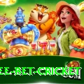 risk free bet cricket Apps (Tools & Injectors) Pro v3.9.9