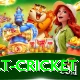 risk free bet cricket Apps (Tools & Injectors) Pro v3.9.9
