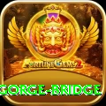 seti gorge bridge VIP Pro v2.3.0