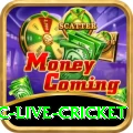 smartcric live cricket Max v5.0.1