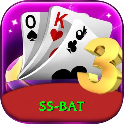 ss bat Deluxe Pro v3.3.9 - 2