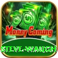 steve waugh Plus v1.5.3