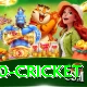 t20 cricket Apps (Tools & Injectors) Max v3.3.1