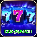 t20 match Deluxe Pro v1.2.5