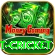 test cricket Plus v3.4.2